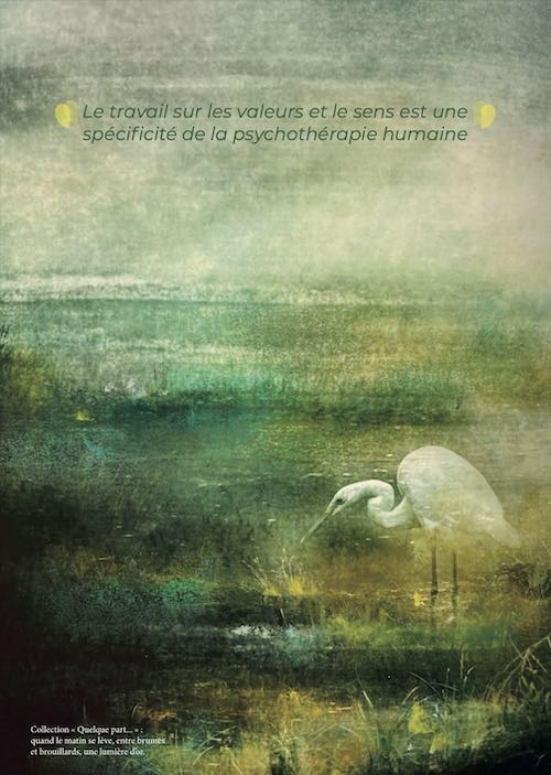 Interview du Dr Dominique MEGGLE pour la revue hypnose et thérapies brèves 73.
