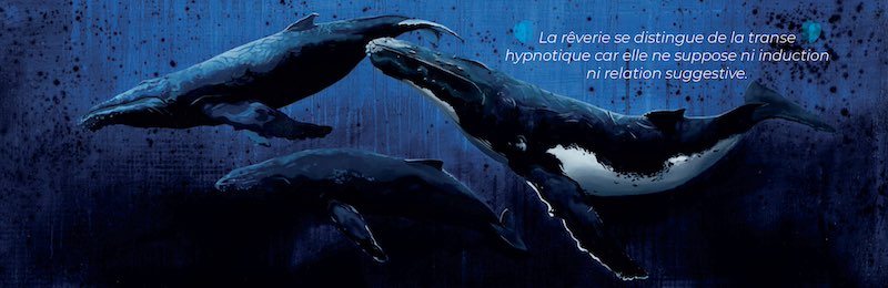 Voyage IRM au coeur de l'expérience hypnotique. Revue Hypnose et Thérapies brèves n°78