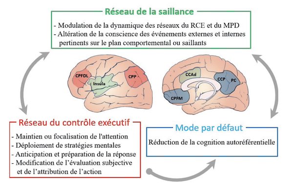 Voyage IRM au coeur de l'expérience hypnotique. Revue Hypnose et Thérapies brèves n°78