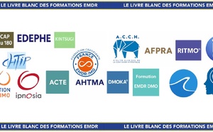 Tableau synoptique des formations en EMDR intégrative en France