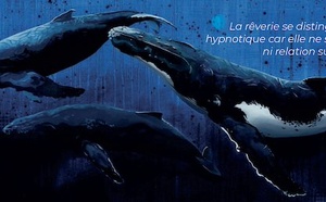 Voyage IRM au coeur de l'expérience hypnotique. Revue Hypnose et Thérapies brèves n°78