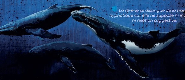 Voyage IRM au coeur de l'expérience hypnotique. Revue Hypnose et Thérapies brèves n°78