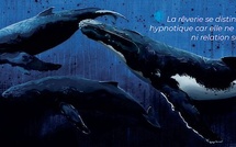 Voyage IRM au coeur de l'expérience hypnotique. Revue Hypnose et Thérapies brèves n°78